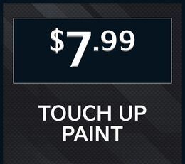 Touch Up Paint