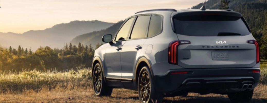 Silver 2022 Kia Telluride backview in a field. What are the technology features?